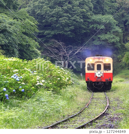 初夏の小湊鉄道 127244849