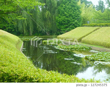池のル風景の緑豊かな自然 127245375