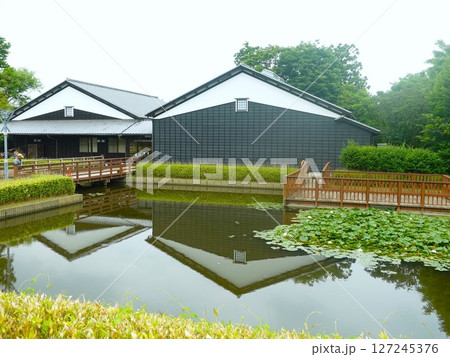 難波田城公園で池に映る建物 難波田城公園で池に映る建物 127245376