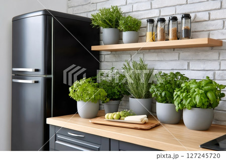 Aromatic herbs growing in pots decorating modern kitchen with black refrigerator 127245720