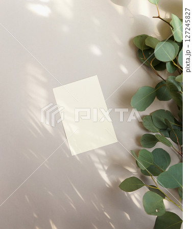 Organic real photo blank card natural light shadow overlay eucalyptus stem aesthetic mockup design 127245827