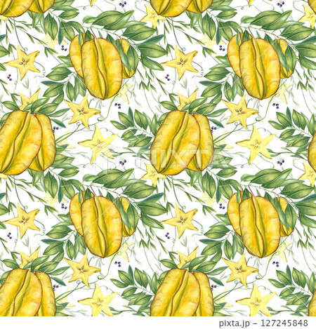 Exotic starfruit slices, leafy branches, and curling vine watercolor illustration isolated background. Star fruits composition for tropical designs, kitchenware, packaging, and wallpaper Exotic starfruit slices, leafy branches, and curling vine watercolor illustration isolated background. Star fruits composition for tropical designs, kitchenware, packaging, and wallpaper 127245848