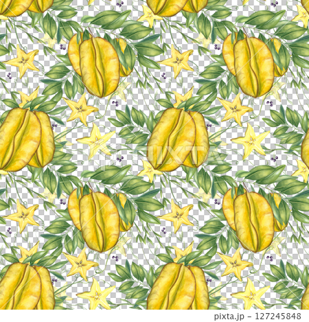 Exotic starfruit slices, leafy branches, and curling vine watercolor illustration isolated background. Star fruits composition for tropical designs, kitchenware, packaging, and wallpaper Exotic starfruit slices, leafy branches, and curling vine watercolor illustration isolated background. Star fruits composition for tropical designs, kitchenware, packaging, and wallpaper 127245848
