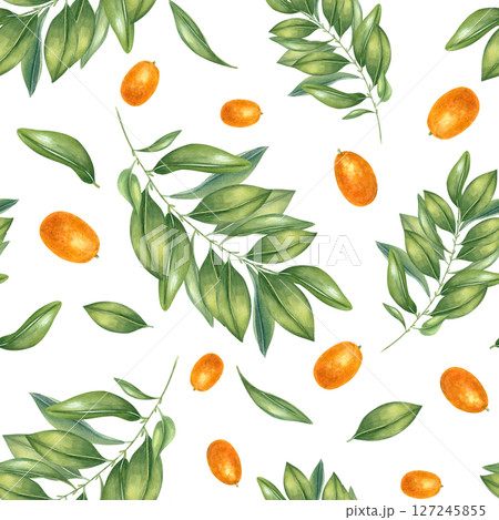 Juicy kumquats and leafy branches watercolor illustration isolated background. Orange citrus berries and leaves ornate for kitchen textiles, food packaging, restaurant decor, home accessories. 127245855