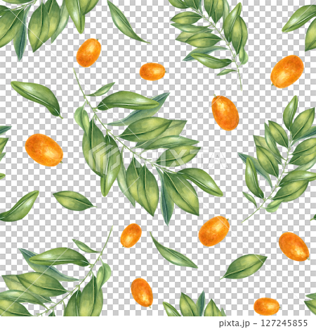 Juicy kumquats and leafy branches watercolor illustration isolated background. Orange citrus berries and leaves ornate for kitchen textiles, food packaging, restaurant decor, home accessories. 127245855