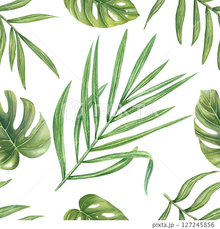 Tropical leaves watercolor seamless pattern isolated background. Monstera, philodendron, areca palm foliage illustration for wallpaper, textile design, beach packaging, poster, summer decor 127245856