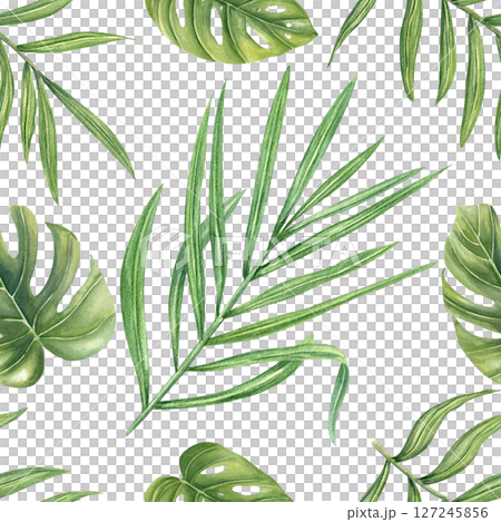 Tropical leaves watercolor seamless pattern isolated background. Monstera, philodendron, areca palm foliage illustration for wallpaper, textile design, beach packaging, poster, summer decor 127245856