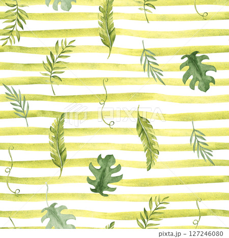 Tropical Leaves Seamless Pattern on a green yellow striped background. Palm, Eucalyptus and Monstera with Liana, horizontal Brush Strokes or Lines. Watercolor Hand drawn illustration. For packaging Tropical Leaves Seamless Pattern on a green yellow striped background. Palm, Eucalyptus and Monstera with Liana, horizontal Brush Strokes or Lines. Watercolor Hand drawn illustration. For packaging 127246080