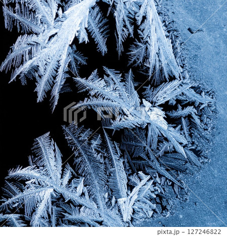 Intricate Blue Frost Patterns on Black Background 127246822