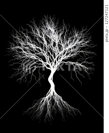 White Tree with Detailed Roots Against Black Background 127247121