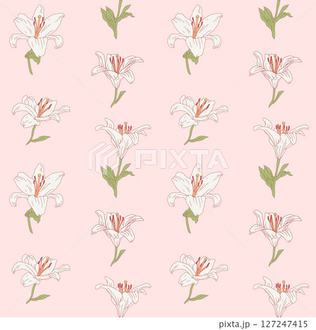 Vintage seamless pattern with hand drawn white lily flowers on pastel pink background 127247415
