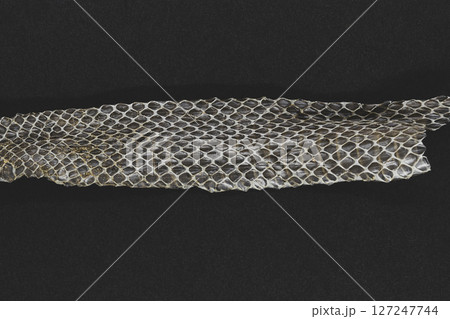 Old dropped snake skin Old dropped snake skin 127247744