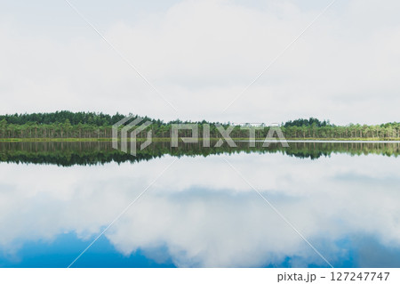 Wild lake in the middle of the woods Wild lake in the middle of the woods 127247747