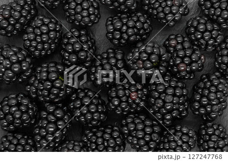 Background of blackberries Background of blackberries 127247768