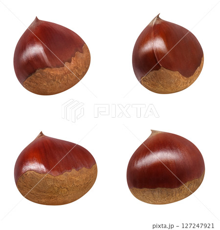 栗 イラスト リアル 和栗のイラスト素材 [127247921] - PIXTA
