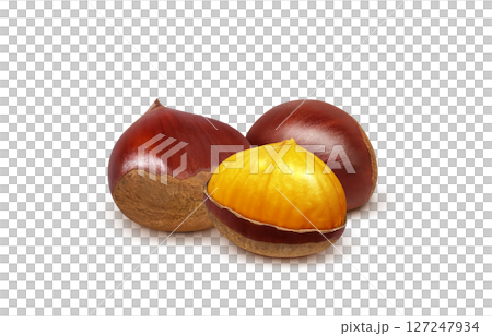 Chestnut illustration realistic Japanese chestnut 127247934