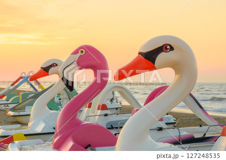 Bird shape water paddle boats on the beach 127248535