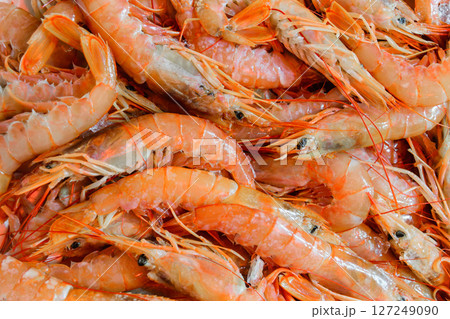 Pink prawns background Pink prawns background 127249090