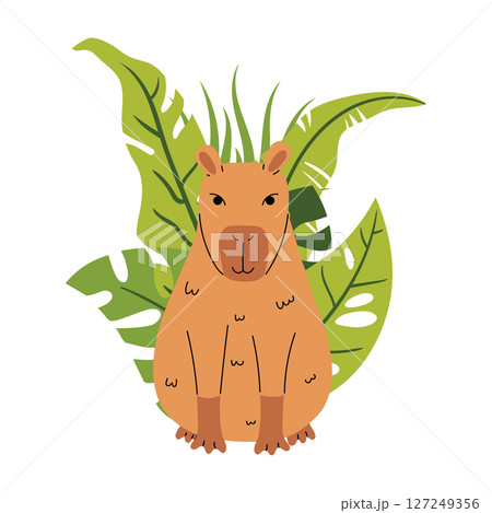 Tropical cartoon composition with capybara and green leaves in flat style, isolated on white. 127249356
