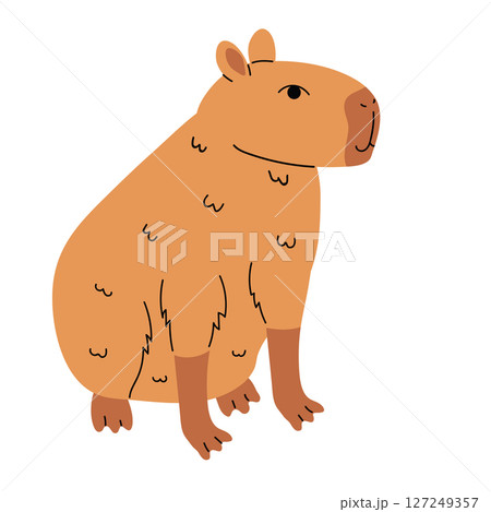 Isolated cute capybara in flat cartoon style with soft colors. Isolated cute capybara in flat cartoon style with soft colors. 127249357