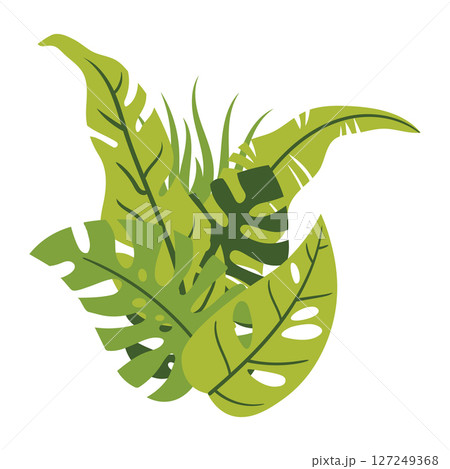 Set of tropical leaf still life composition isolated on white, in cartoon flat style. Set of tropical leaf still life composition isolated on white, in cartoon flat style. 127249368