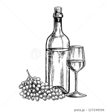 A bottle of white wine, a glass and grapes. Hand-drawn graphic vector illustration. Isolate on a white background. For packages and labels. For banners and posters. For restaurants and bars and more. A bottle of white wine, a glass and grapes. Hand-drawn graphic vector illustration. Isolate on a white background. For packages and labels. For banners and posters. For restaurants and bars and more. 127249594