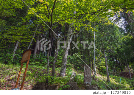 長野 戸隠神社火之御子社 長野 戸隠神社火之御子社 127249810