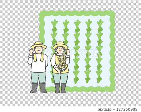 稻田和一位老年農民的插圖 稻田和一位老年農民的插圖 127250989