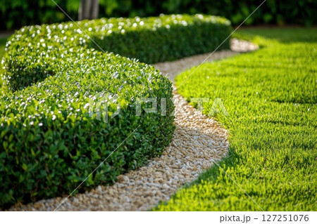 Beautiful landscaped rock garden. Landscaping project. Path curving through the lawn. Green grass and walkway tiles. Winding stone pathway. Sidewalk. Planting perennials. Footpath, cropped bushes. Beautiful landscaped rock garden. Landscaping project. Path curving through the lawn. Green grass and walkway tiles. Winding stone pathway. Sidewalk. Planting perennials. Footpath, cropped bushes. 127251076