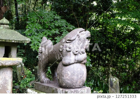 杵築市(山香町) 八幡神社(倉成) 杵築市(山香町) 八幡神社(倉成) 127251333