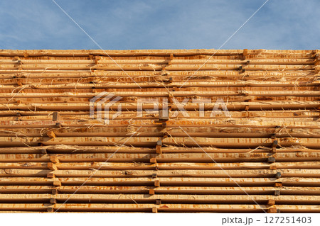 Bamboo is stacked and arranged neatly against a bright blue sky, highlighting traditional construction methods in a serene environment Bamboo is stacked and arranged neatly against a bright blue sky, highlighting traditional construction methods in a serene environment 127251403