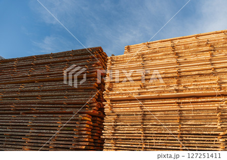 Piles of wooden planks are neatly stacked in a lumber yard, illuminated by the soft light of the setting sun against a blue sky 127251411