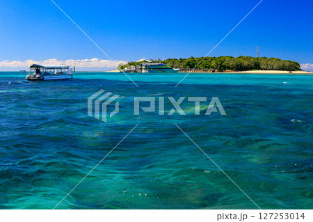 洋上のグリーン島 洋上のグリーン島 127253014