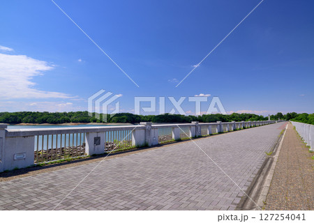 埼玉県　人造湖　狭山湖の遊歩道 127254041