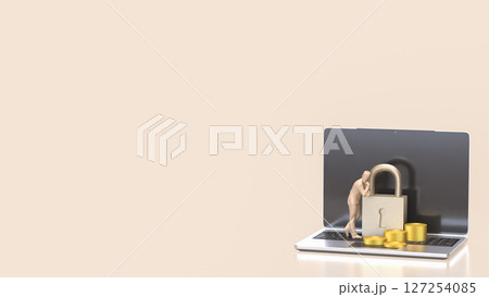 The Lock and coins on Laptop for Security concept 3d Rendering. 127254085