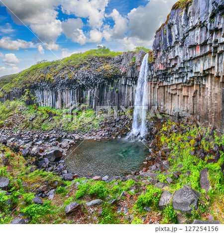 Ramarkable view of Svartifoss waterfall with basalt columns on southern part of Iceland. 127254156