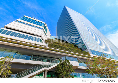 神奈川県　横浜市の都市風景　横浜市役所 127254285