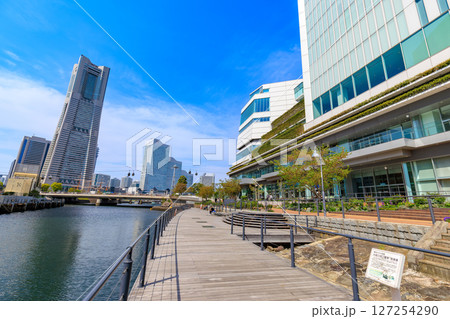 神奈川県　横浜市の都市風景　横浜市役所 127254290
