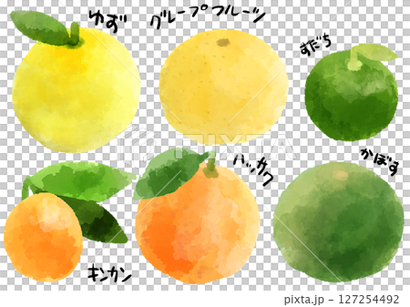 柑橘類　アイコン　イラスト　手描き　水彩風 127254492