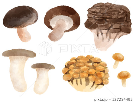 きのこ アイコン イラスト 手描き 水彩風 きのこ アイコン イラスト 手描き 水彩風 127254493