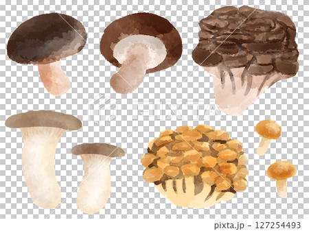 きのこ アイコン イラスト 手描き 水彩風 きのこ アイコン イラスト 手描き 水彩風 127254493