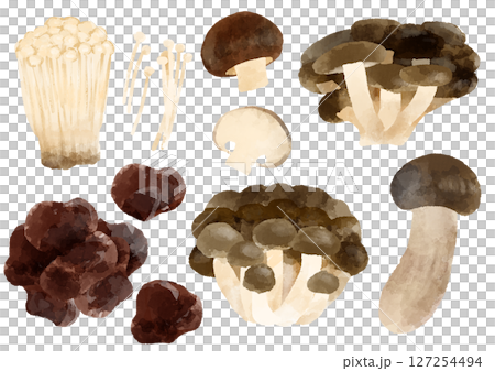 蘑菇圖示插畫手繪水彩風格 127254494