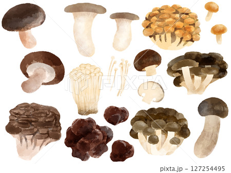 きのこ　アイコン　イラスト　手描き　水彩風 127254495