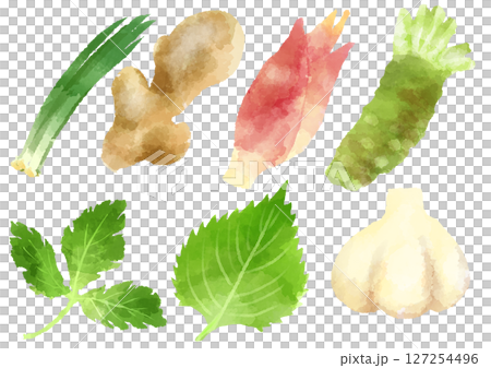 薬味　アイコン イラスト　手描き　水彩風 127254496