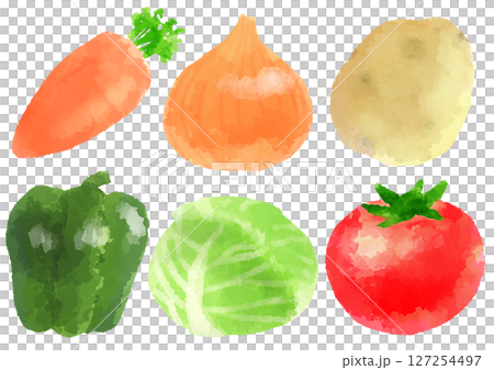 野菜 アイコン イラスト 手描き 水彩風 野菜 アイコン イラスト 手描き 水彩風 127254497
