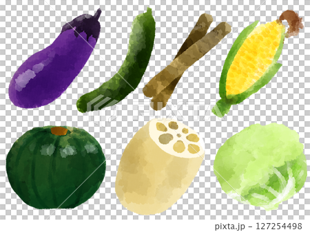 Vegetable icon illustration hand-drawn watercolor style Vegetable icon illustration hand-drawn watercolor style 127254498