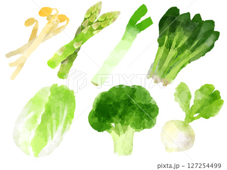 野菜 アイコン イラスト 手描き 水彩風 野菜 アイコン イラスト 手描き 水彩風 127254499