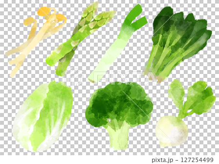 蔬菜圖示插畫手繪水彩風格 蔬菜圖示插畫手繪水彩風格 127254499