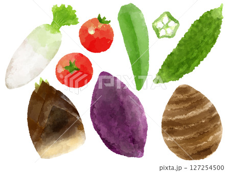 野菜　アイコン イラスト　手描き　水彩風 127254500