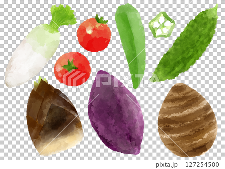 野菜　アイコン イラスト　手描き　水彩風 127254500